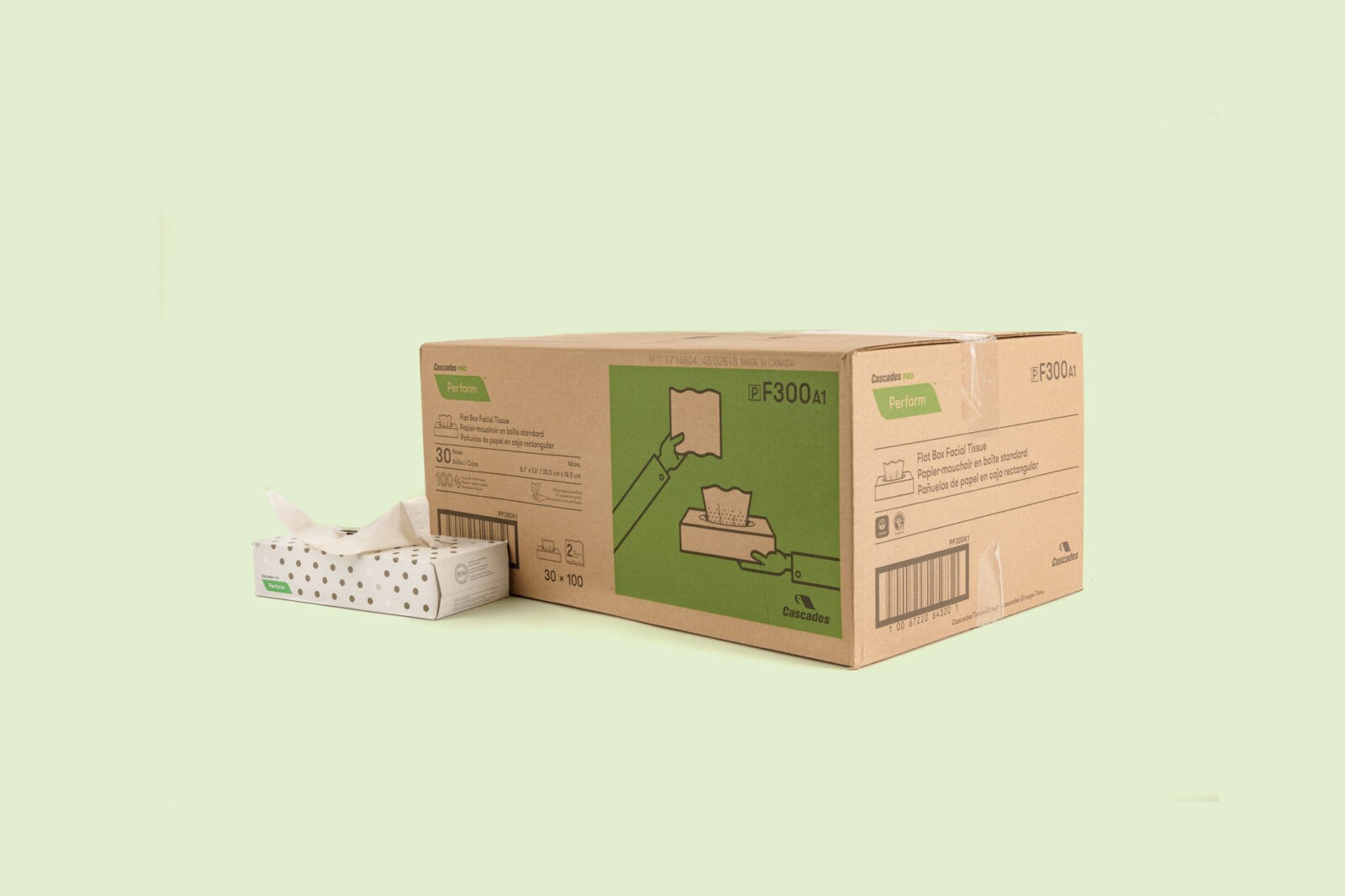 Eco tissues Perform